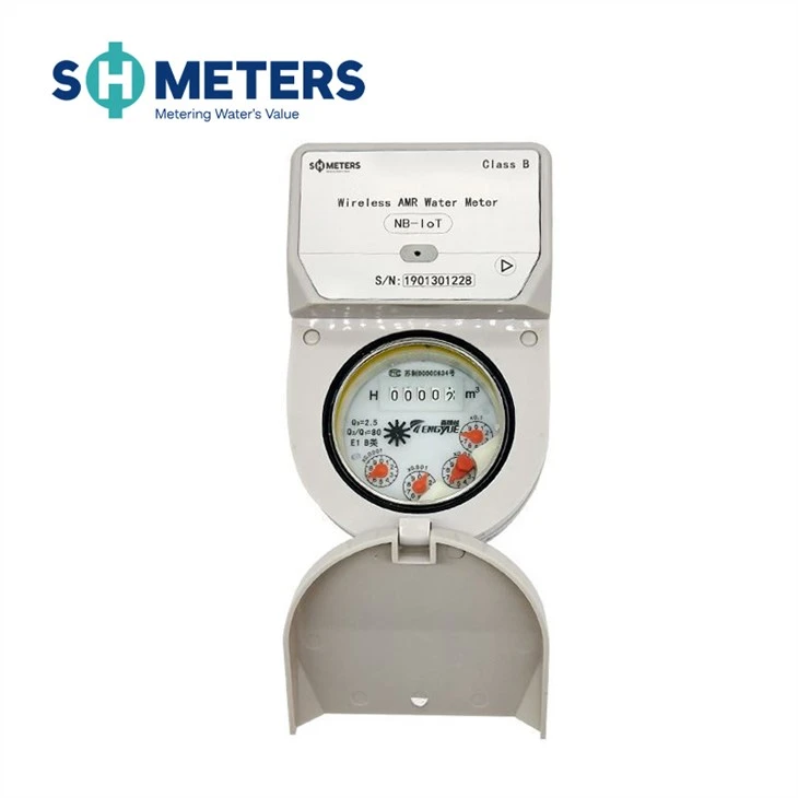 Nb-Iot Dry Cold Smart Water Meter GPRS Remote Prepaid AMR Meters Nb-Iot Dry Cold Smart Water Meter GPRS Remote Prepaid AMR Meters