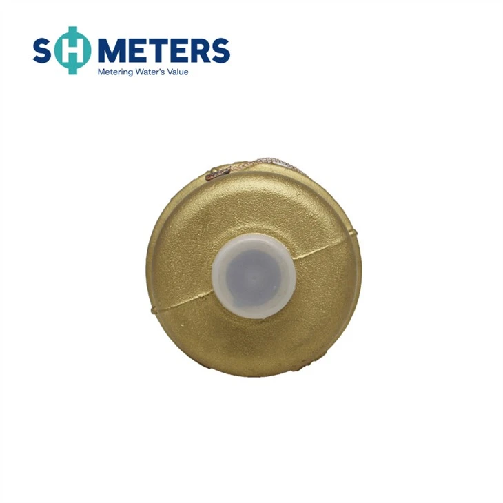 Volumetric Brass Water Meter Class C, R160/R200 Volumetric Brass Water Meter Class C, R160/R200